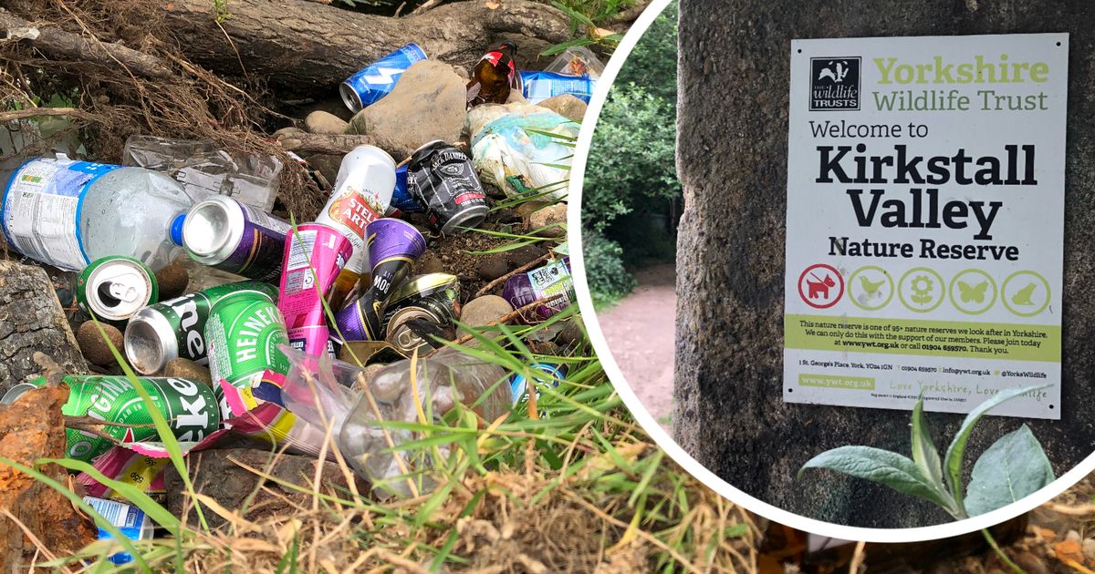 Forest Rave Aftermath Police Shut Down 200-person Rave In The Woods - Only Techno